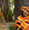 Fatou au jardin botanique